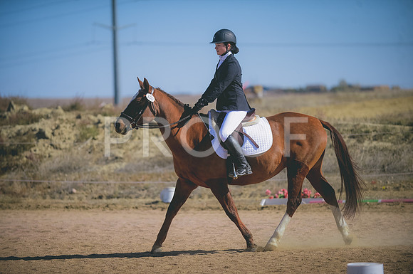 JJS_6618