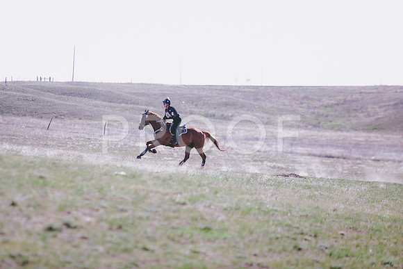 CDH_9590