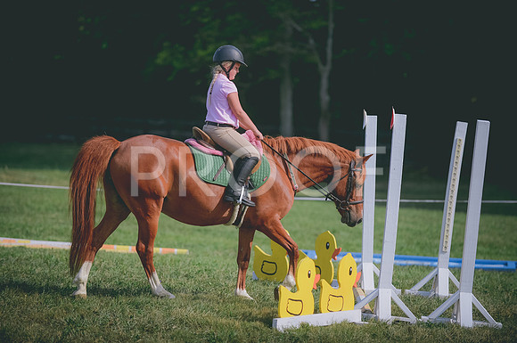 JJS_4102