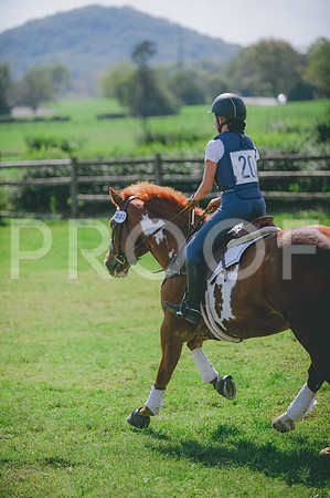JJS_8815