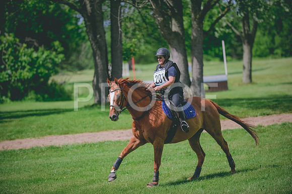 JJS_2494