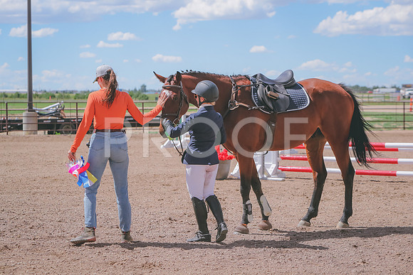 CDH_2014