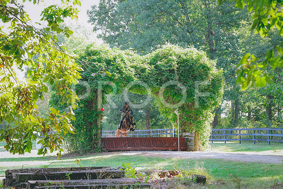 DSC00517