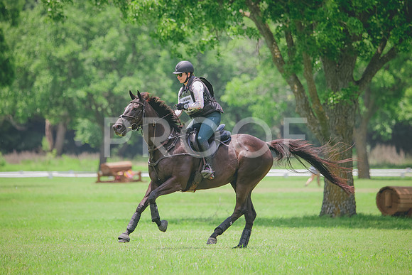RWP_3027