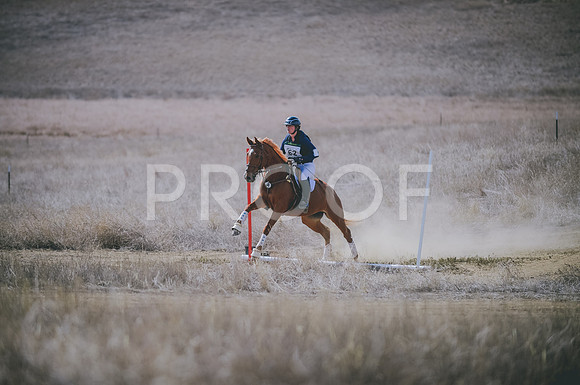 JJS_0238