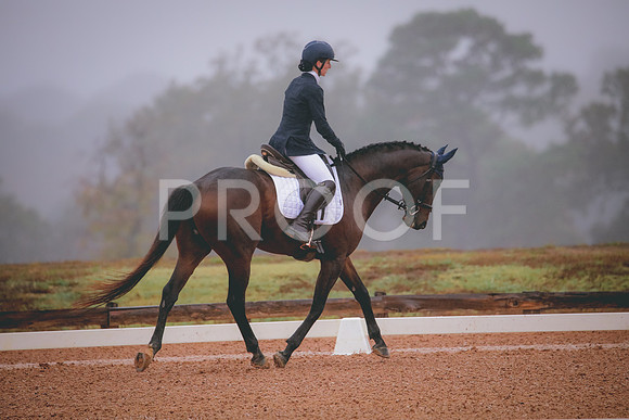 RWP_0764