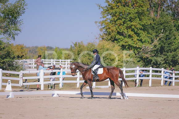 HLJ_2528