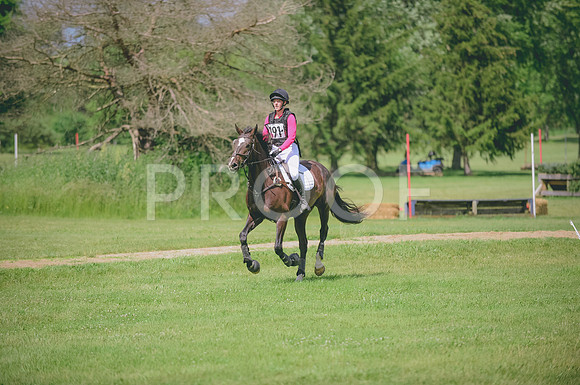 JJS_2016