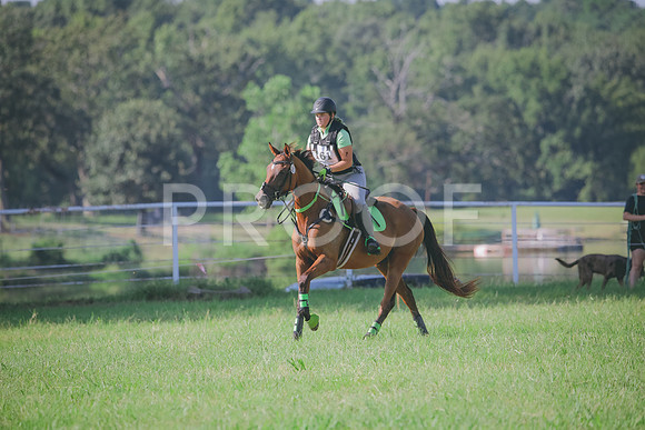 RWP_6275