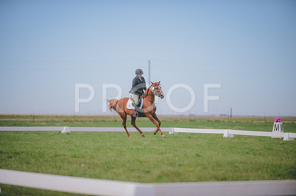 JJS_0671