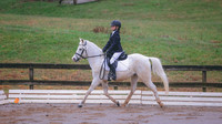 0N0A0941