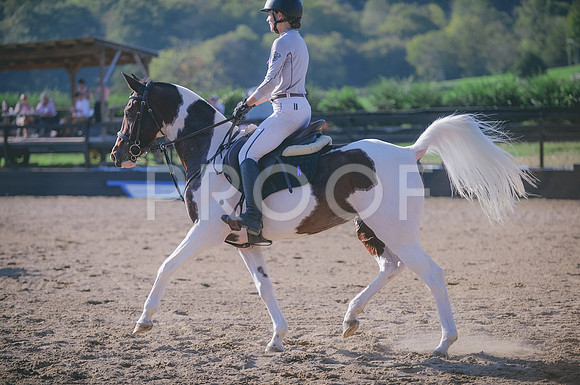 JJS_7574A