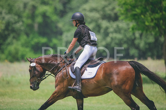 RWP_3318