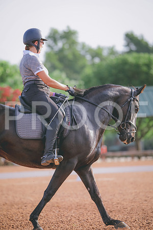 RWP_4233