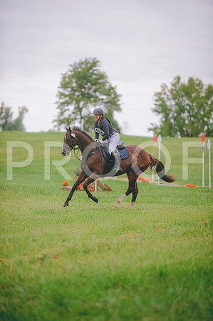 JJS_1201