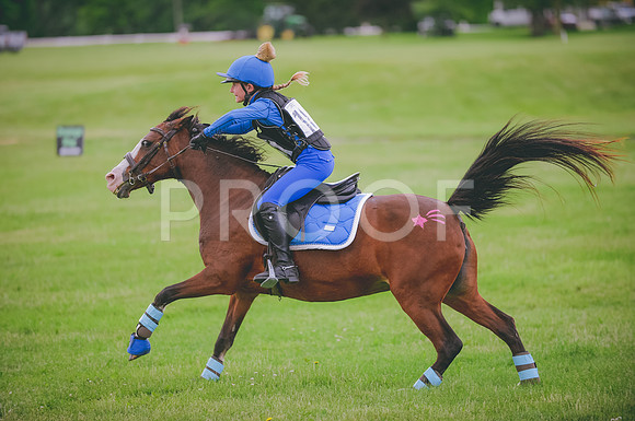JJS_1499