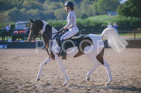 JJS_7571