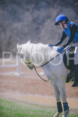 000_8443