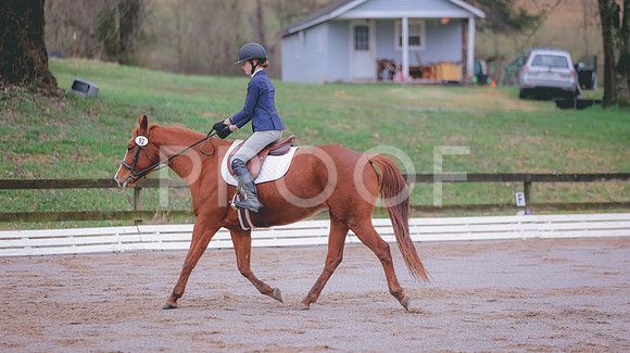 0N0A1735