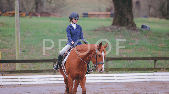 0N0A1779