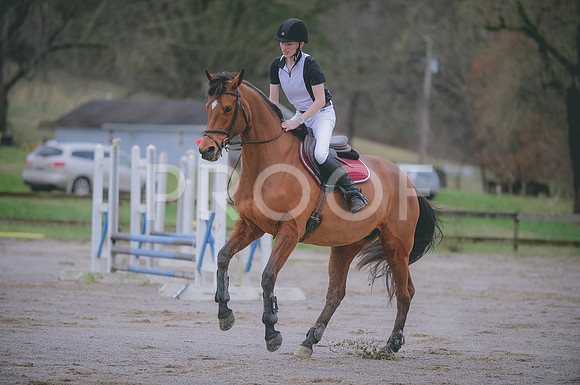 000_8397