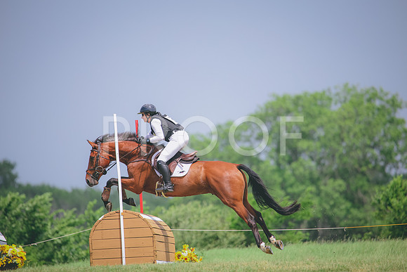 RWP_0617