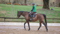 0N0A3642