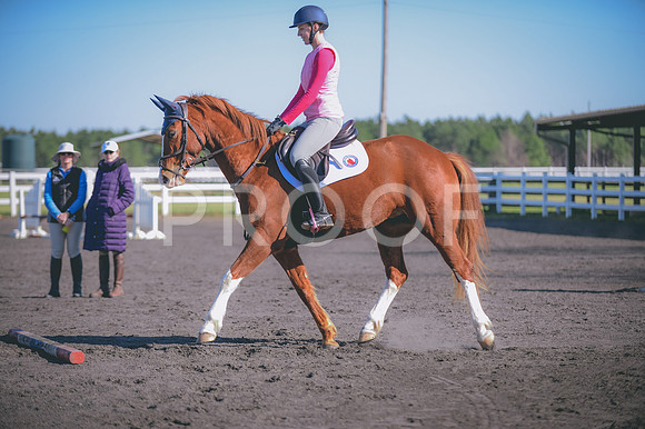 JJS_0131