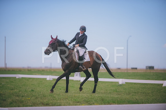 JJS_0974