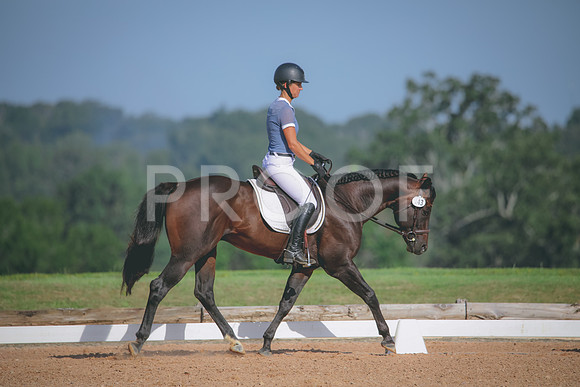 RWP_4601
