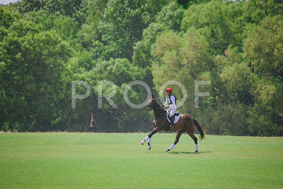 RWP_4616