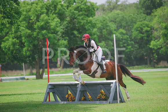 RWP_2077