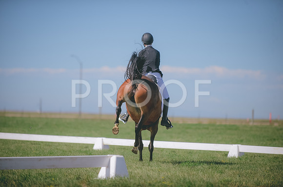 JJS_2319