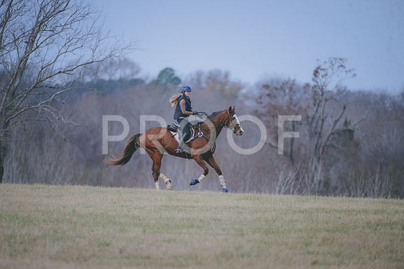 JJS_3831