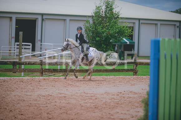 000_3817 copy