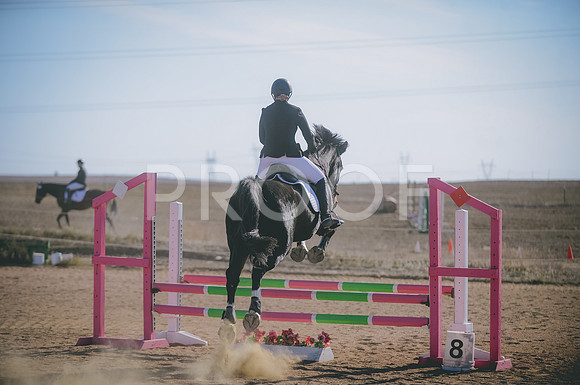 JJS_0837
