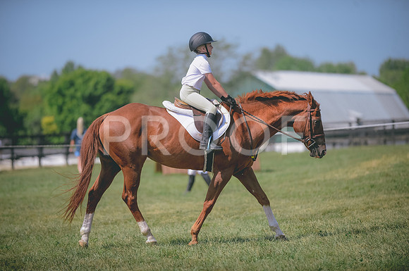 JJS_0290