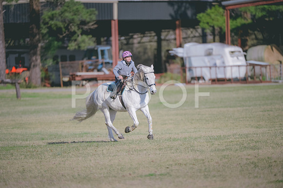 JJS_2641