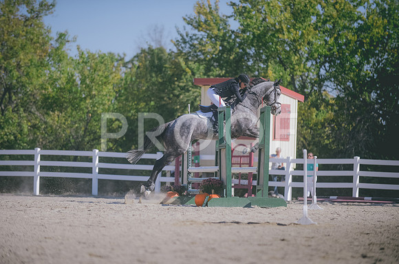JJS_0388
