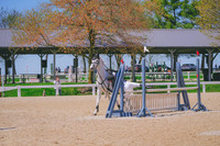 DSC02935