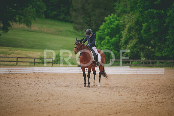 2E8A0872