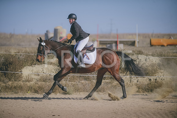 JJS_1278