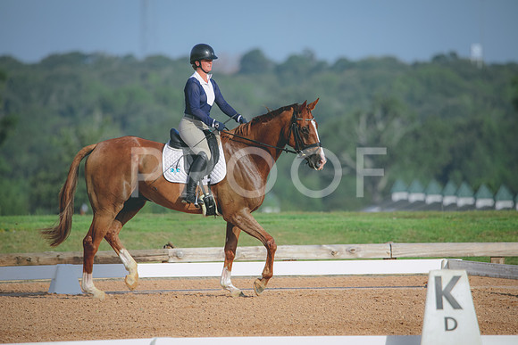 RWP_4431