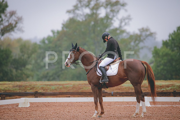 RWP_1042