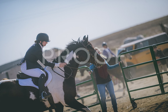 JJS_3205