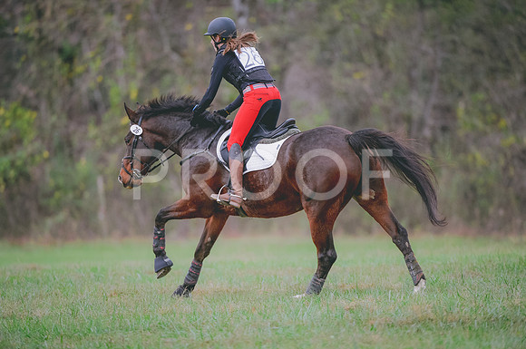 JJS_0370