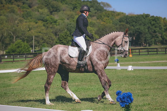 APP_3800
