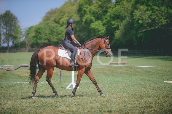 JJS_0883