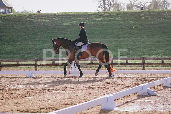 IMG_6749