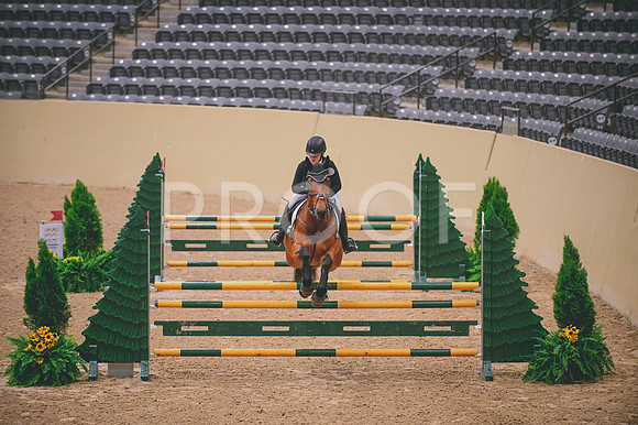 DSC_1040